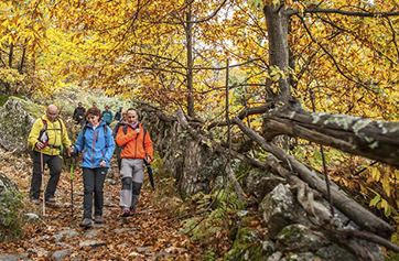 Otoño Mágico en el Valle de Ambroz
